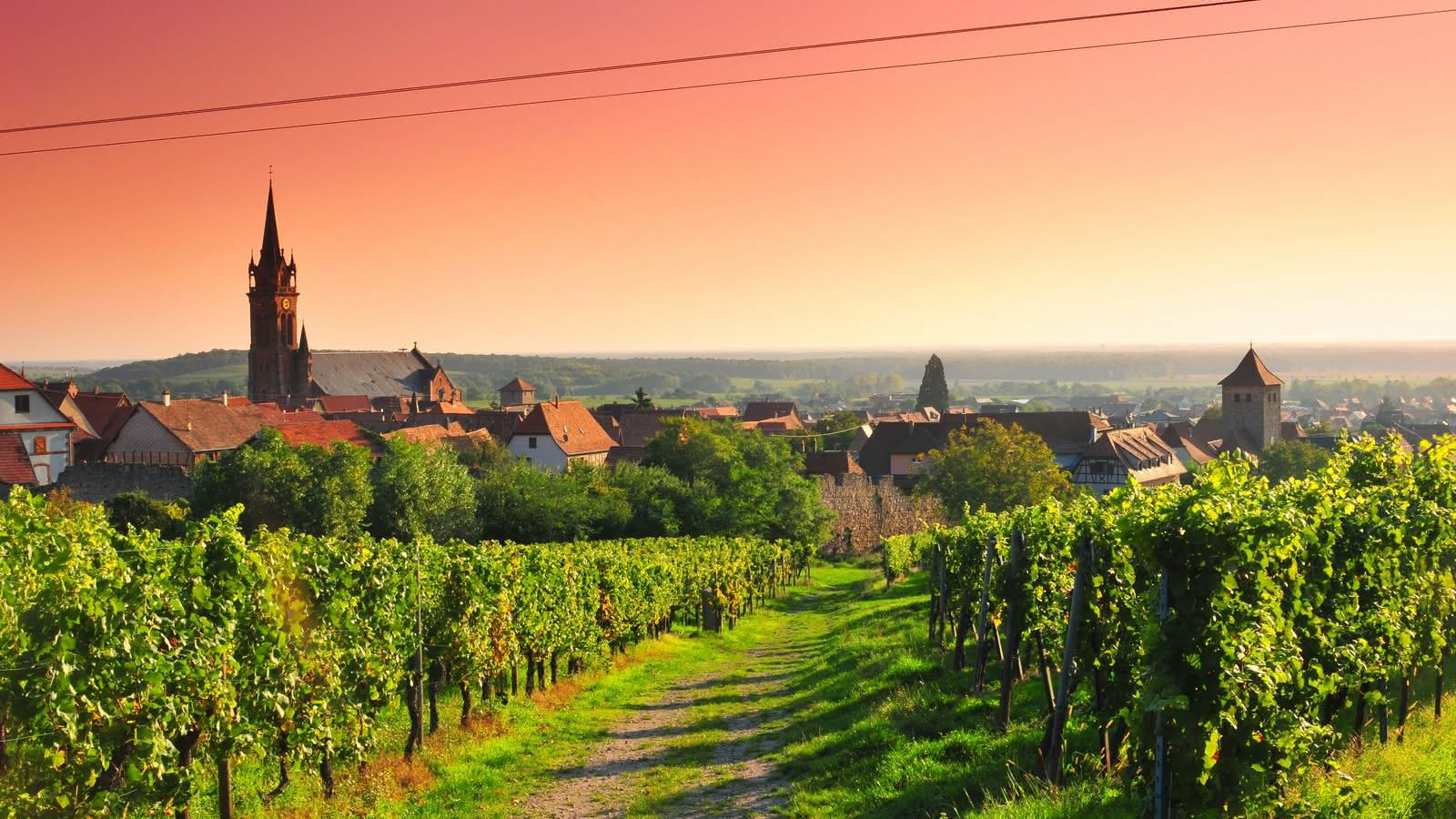 DAMBACH-LA-VILLE visite tour alsace avec Moon VTC