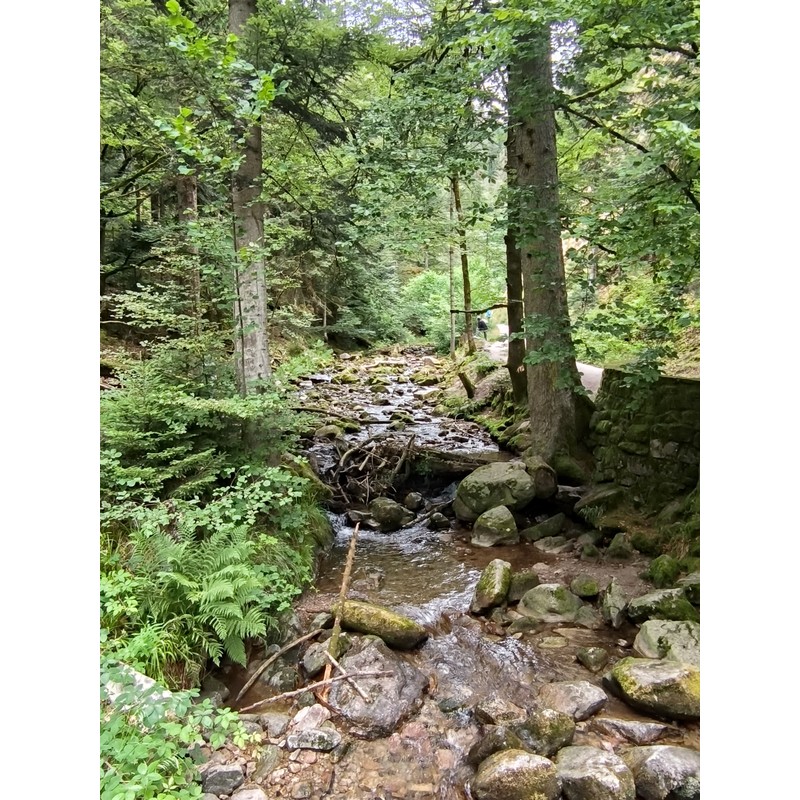 Allerheiligen Wasserfalle Baden baden Hiking 4