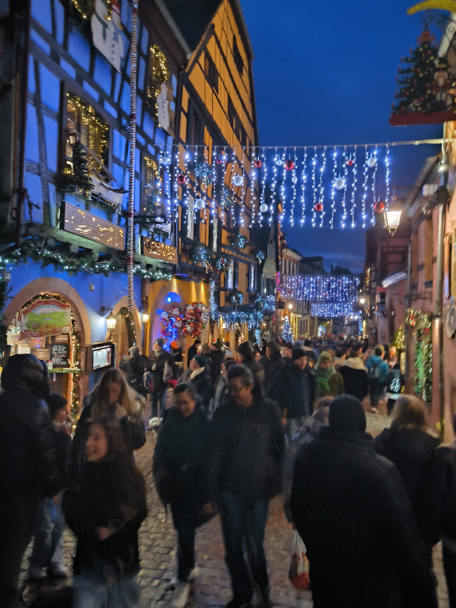 Tour Day Trip Marché de Noel au village médievale de RIiquewihr 3