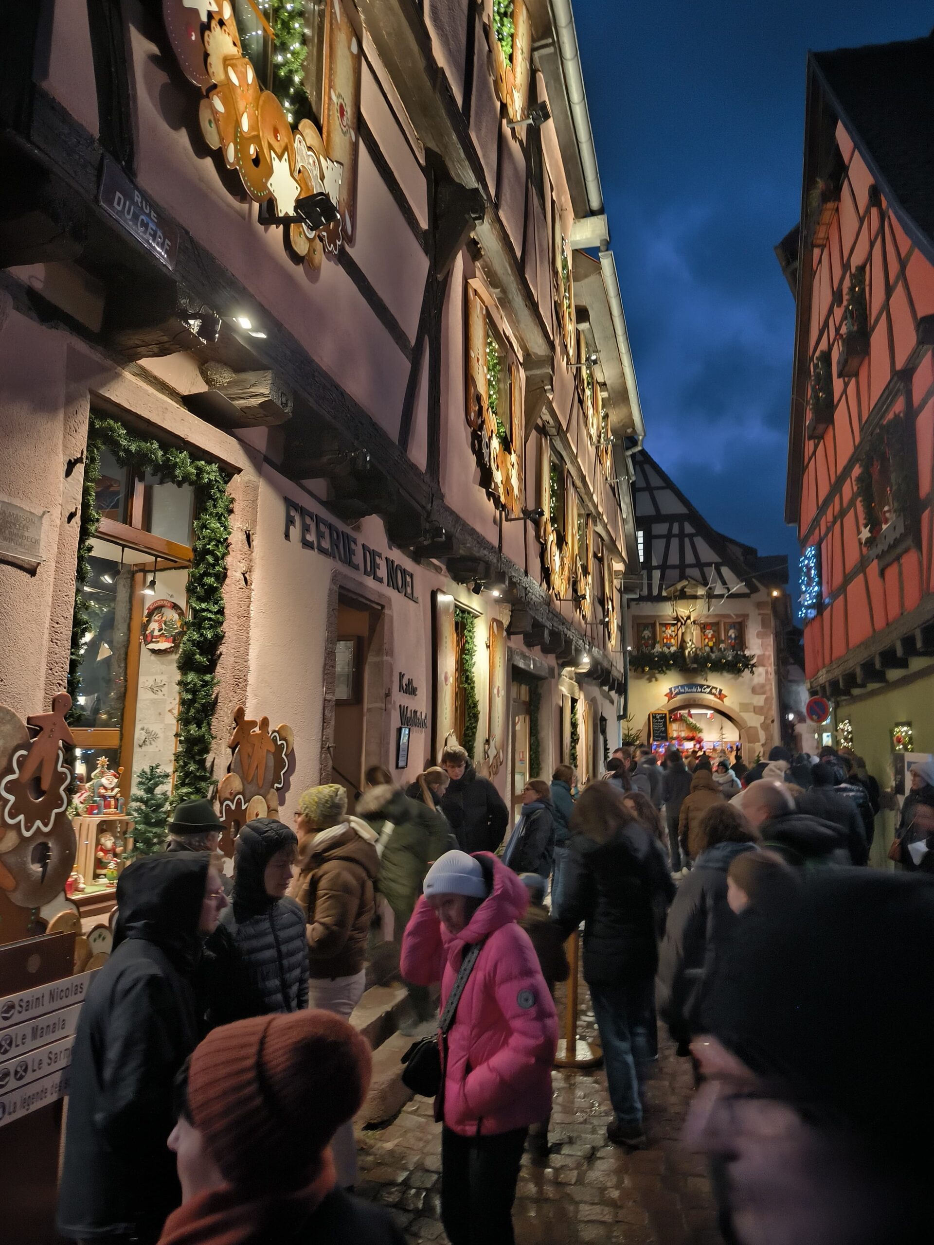 Tour Day Trip Marché de Noel au village médievale de RIiquewihr 4