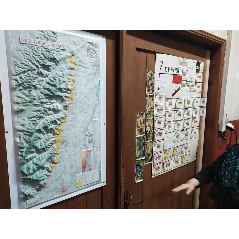 Vignoble Alsace Route des Vins