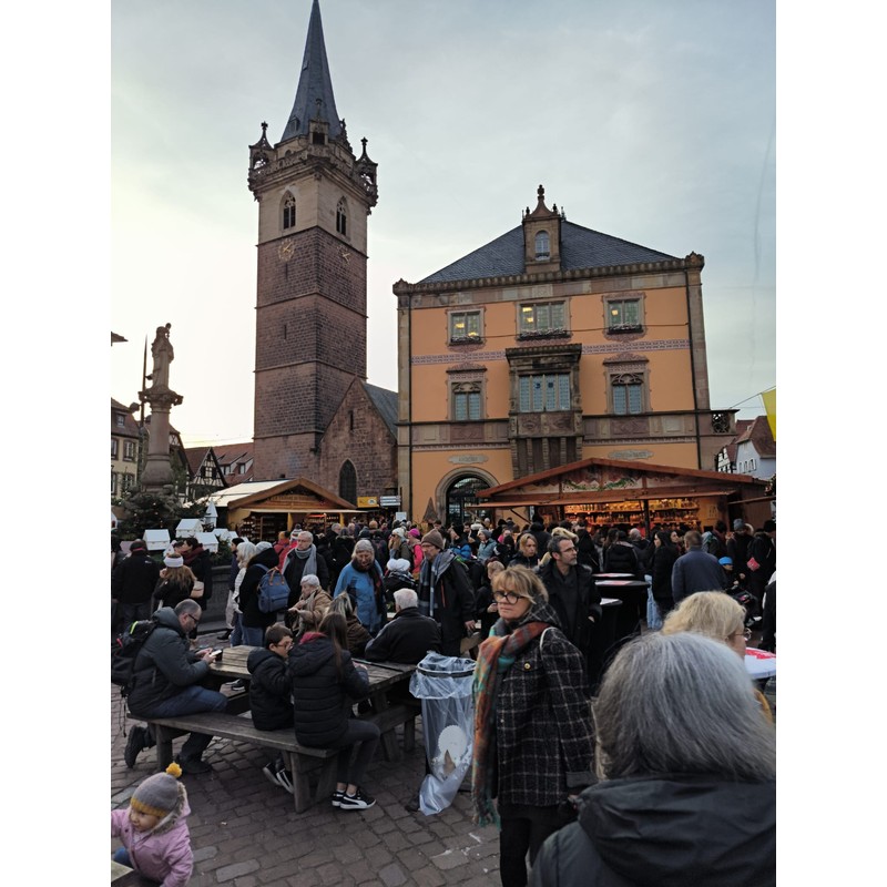 obernai 4