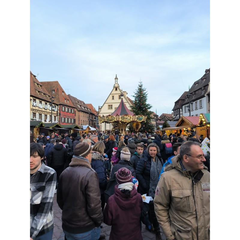 obernai 5