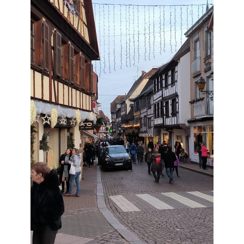 obernai 7